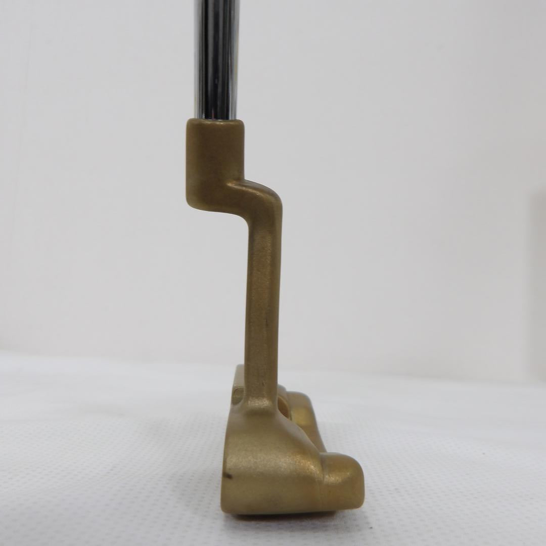 Ping Putter Scottsdale ANSER(2025) 34.5 inch Dot color Brack