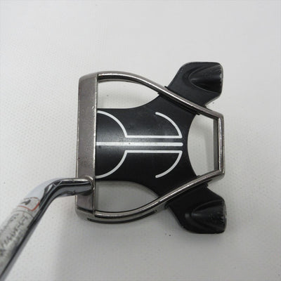 TaylorMade Putter Fair Rating Rossa agsi+ SPIDER 34 inch
