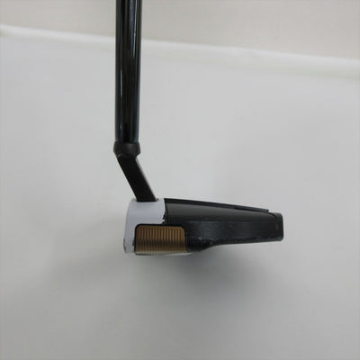 TaylorMade Putter Spider FCG BLACK/WHITE SmallSlant 34 inch