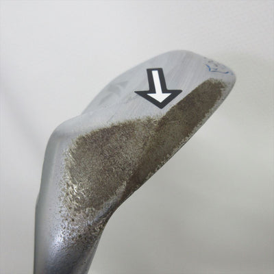 Kasco Wedge Dolphin Wedge DW-120G Silver 56° NS PRO 950GH neo