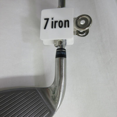 Dunlop Iron Set XXIO11 Stiff NS PRO 860GH D.S.T for XXIO 6 pieces