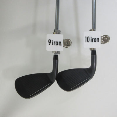 Kasco Iron Set Dolphin Iron DI-119(Black) Stiff NS PRO ZELOS 8 5 pieces