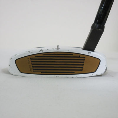 TaylorMade Putter Spider FCG BLACK/WHITE Small Slant 34 inch