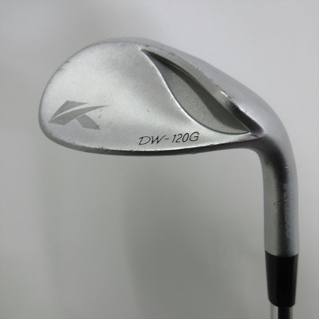 Kasco Wedge Dolphin Wedge DW-120G Silver 50° NS PRO 950GH neo