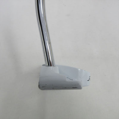 TaylorMade Putter Rossa GHOST agsi+ DAYTONA 34 inch