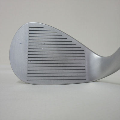 Kasco Wedge Dolphin Wedge DW-123 Silver 50° NS PRO 950GH neo