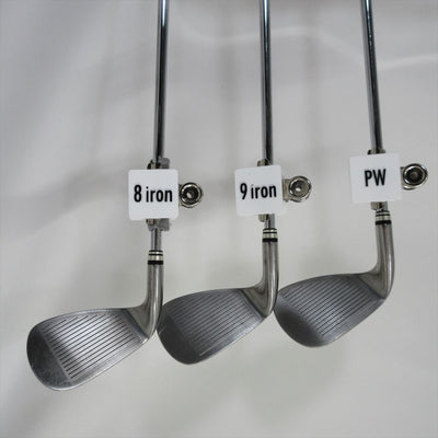 XXIO Iron Set XXIO8 Stiff NS PRO 900GH D.S.T for XXIO 6 pieces