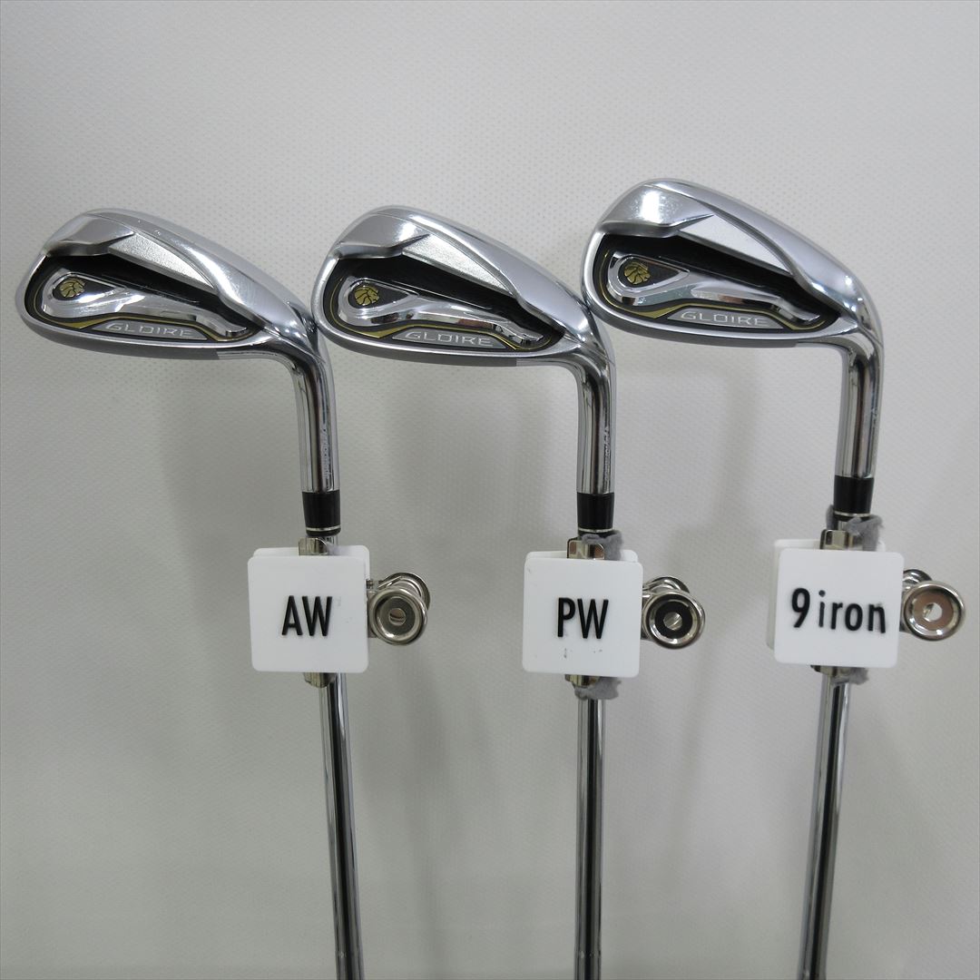 TaylorMade Iron Set GLOIRE -2014 Regular NS PRO 850GH 6 pieces