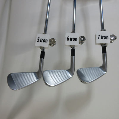 TaylorMade Iron Set P770(2020) Stiff Dynamic Gold EX TOUR ISSUE S200 6 pieces